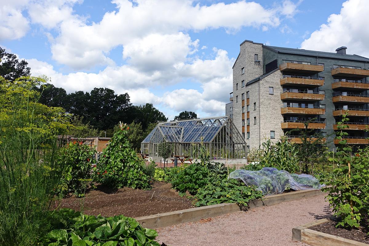 Assemblin bidrog till unikt hållbart bostadsområde