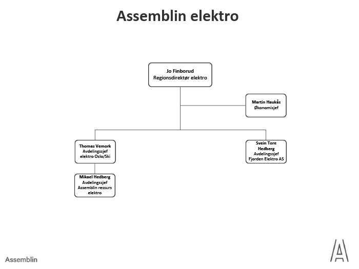 assemblin_elektro_700.png